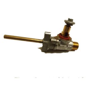 Valve 10009155