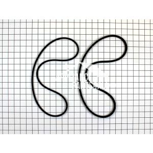 Pump and Drive Belt Kit 12112425