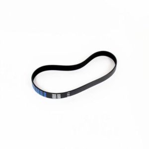 Belt W11239857