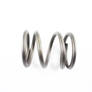 Brake Spring WP21001910