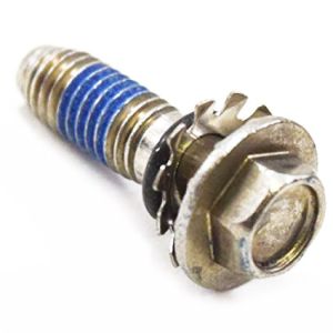 Customized Screw FAB30598601