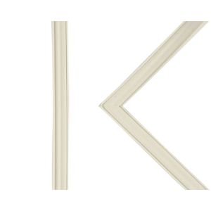 Door Gasket 216481301