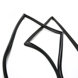 Door Gasket 2159081