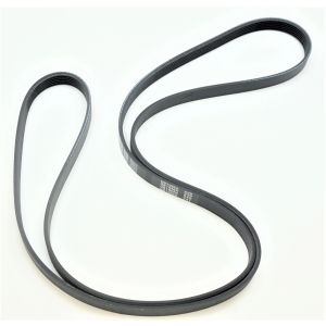 Drive Belt 800319P