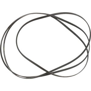 Drive Belt 137292700