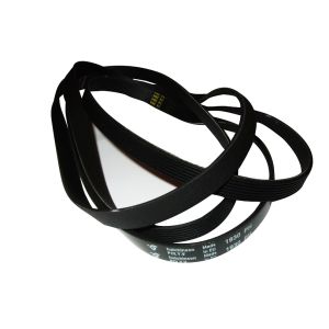 Drive Belt 00096426