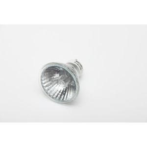 Halogen Bulb WP49001219