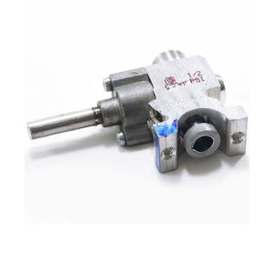 Large Gas Valve WB21T10008