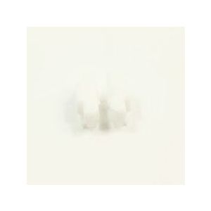 Retainer W10245452