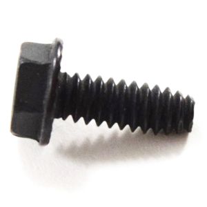 Screw WP21001065