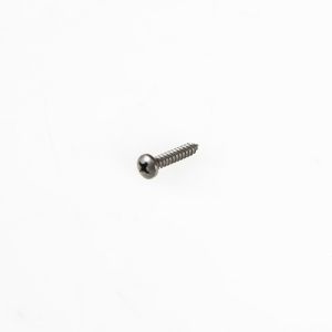 Screw WPY04100059