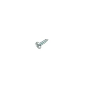 Screw 00420254