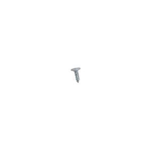 Screw 110661