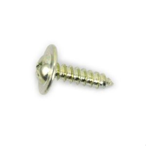 Screw 110671