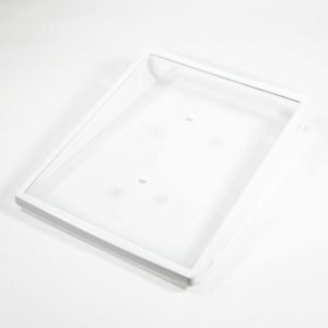 Shelf 240355201