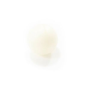 Sump Check Ball 00171263