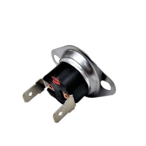Temperature Regulator 00617234