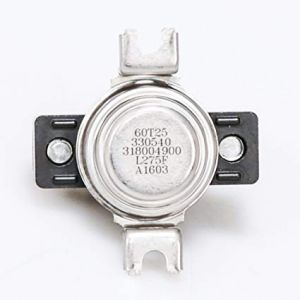 Thermal Switch 318004900