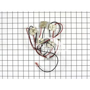 Spark Ignition Switch and Harness 316580614