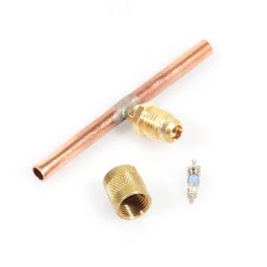 Access Valve 876764