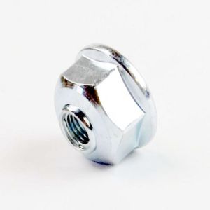 Common Nut 1NZZEA4001A