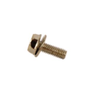 Customized Screw 1SZZW1E002C
