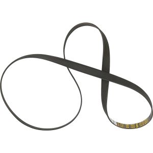 Drive Belt 134616700