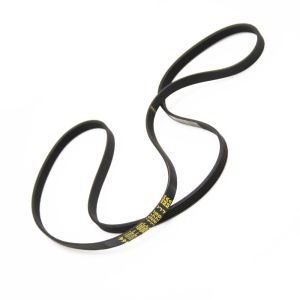 Drive Belt 34001117