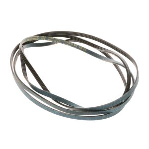 Dryer Drive Belt WE12X10014