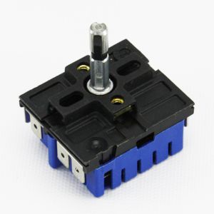 Dual Element Infinite Control Switch 12002422