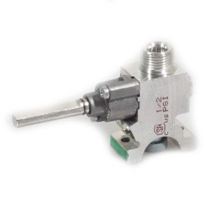 Gas Valve WB21T10010