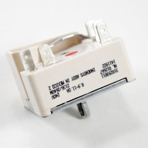 Infinite Burner Switch 318293811