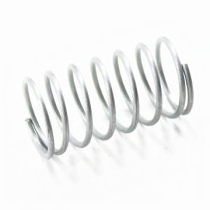 Latch Axle Spring 22003721