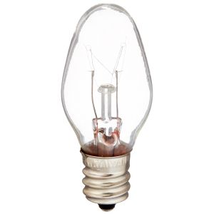 Light Bulb WP22002263