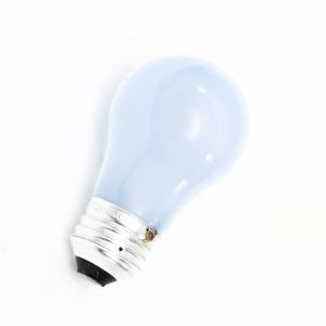 Light Bulb 241555401