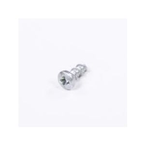 Mounting Screw 241679801