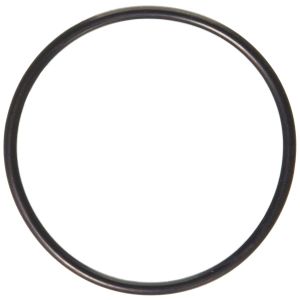 Rear Oring 154246901