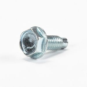 Screw WP489483