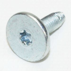 Screw WD02X10150