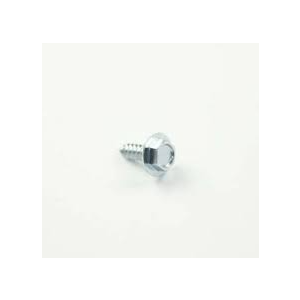 Screw WP22001995