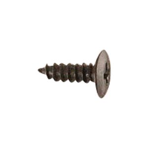 Screw WP98008545