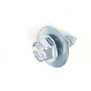 Screw WP22002933