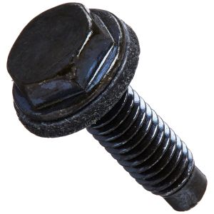 Screw 316069301