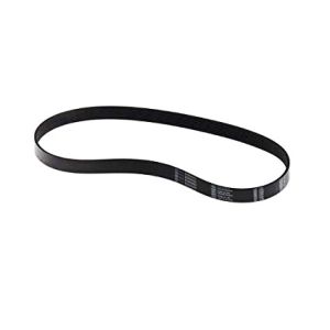 Stretch Belt WP25001054