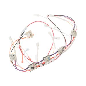 Spark Ignition Switch and Harness WB18X25575