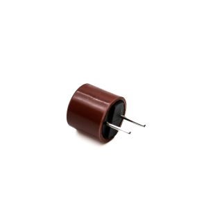 Control Board Fuse WD21X25696